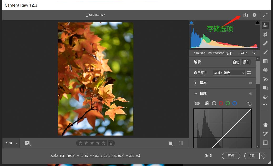 不同版本的Camera RawUI可能有所不同